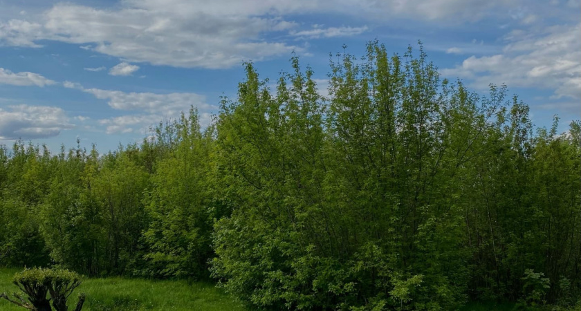 Пензенцев предупредили об ухудшении погодных условиях 22 июля