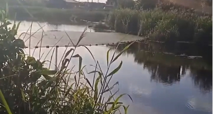 Пензенец снял на видео незаконную ловлю рыбы сетями в районе Барковки