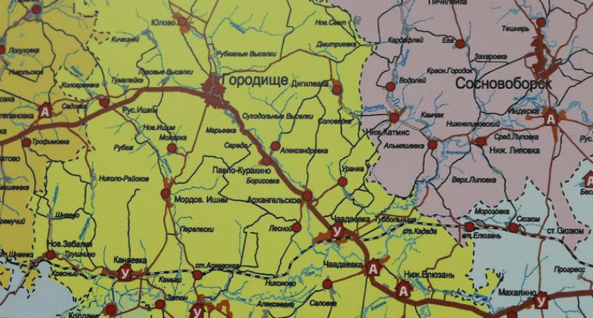 В Пензенской области выявили корь у 81 человека