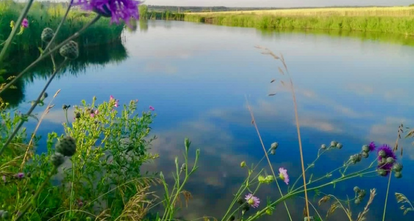 В Кузнецком районе суд вынес приговор рыбаку за незаконный улов
