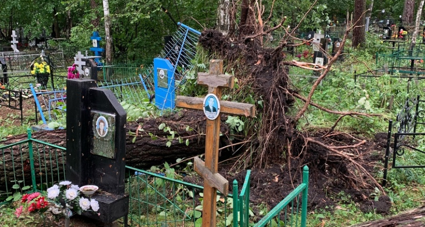 Ураган в Никольском районе разрушил могилы и ограды на кладбищах
