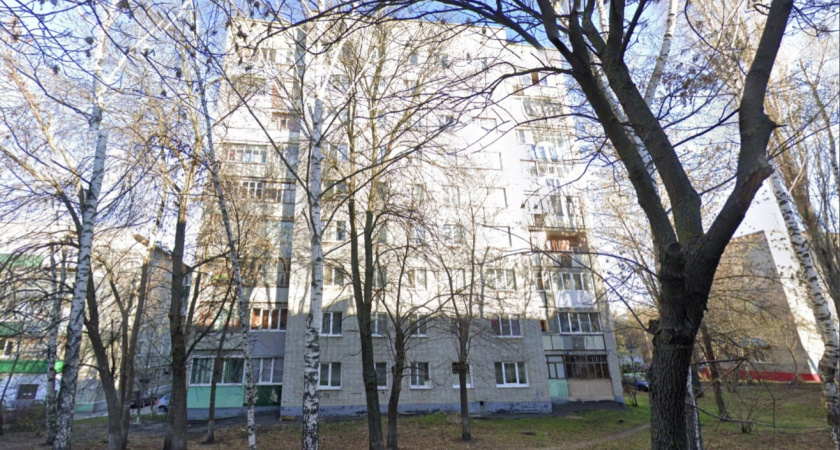 В Пензе на улице Толстого нашествие блох