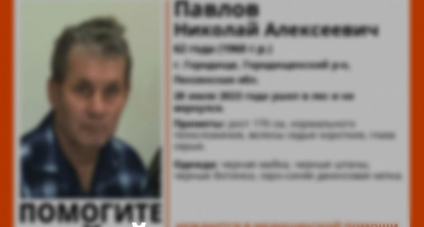В Пензенской области приостановлены поиски 62-летнего жителя Городищенского района