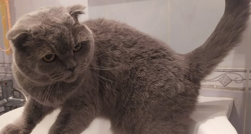 Десятки домов на улице Антонова в Пензе внезапно остались без воды