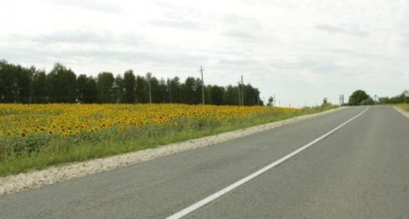 Участок дороги почти в 5,5 километров отремонтировали в Камешкирском районе