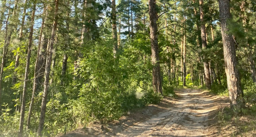 С 12 по 14 августа в Пензенской области сохранится высокая пожароопасность