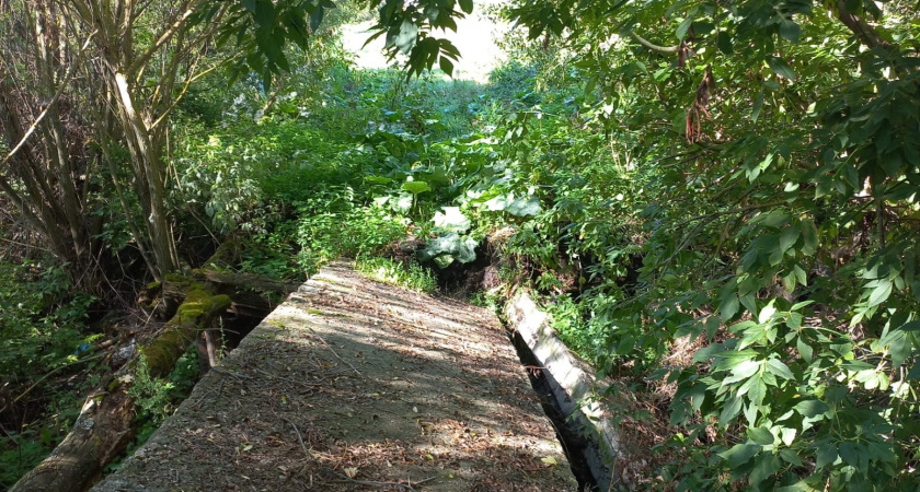 В Иссинском районе рухнул мост 