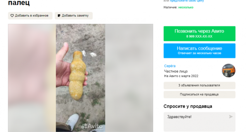 Житель Засечного продает окаменелость Чёртов палец за 35 миллионов рублей