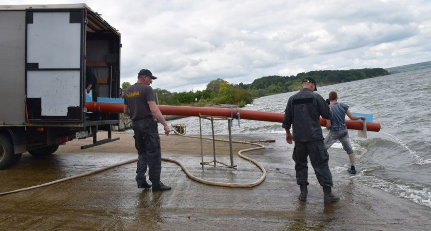 В Сурское водохранилище выпустили девять тысяч мальков краснокнижной стерляди