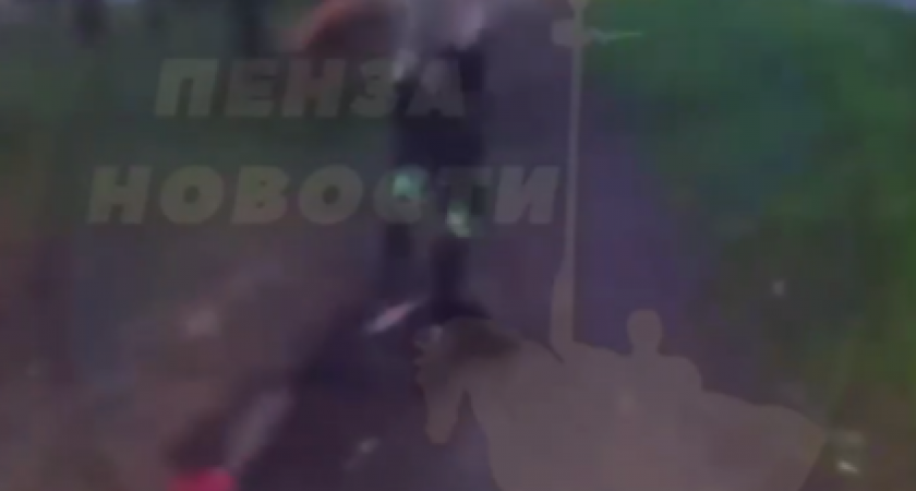 В Пензе у дома на Толстова мужчина на глазах прохожих убивал девушку 