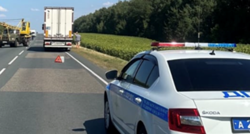 В Пензенской области сотрудники Госавтоинспекции оказали помощь водителю в непростой ситуации