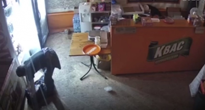 Двое жителей села Засечное прорезали шатер и украли алкоголь и закуску для продолжения гулянки