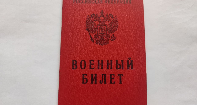 Известны причины объявления в розыск пензенских призывников 