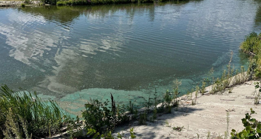 Пензенцы заметили зелёную пленку на реке недалеко от фабрики "Маяк"