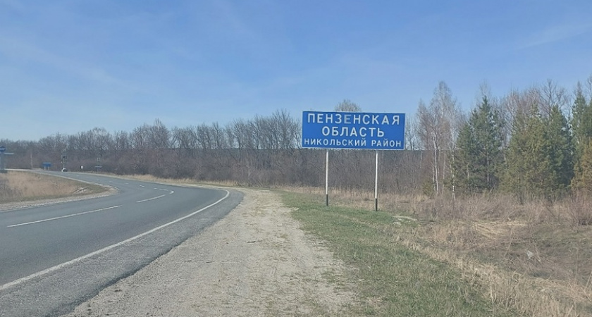 Пензенцы рассказали о появлении в регионе птичьего гриппа