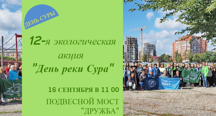 Пензенцев приглашают на уборку берега реки Суры