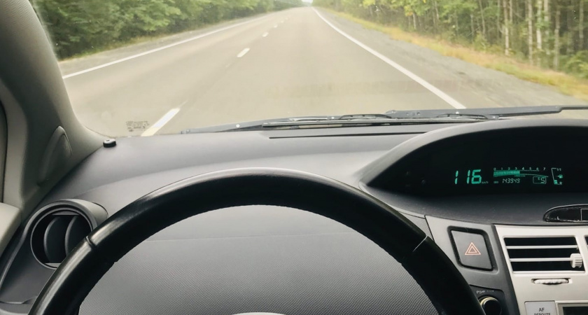 Дорогу между Кривозерьем и терновкой откроют 5 сентября