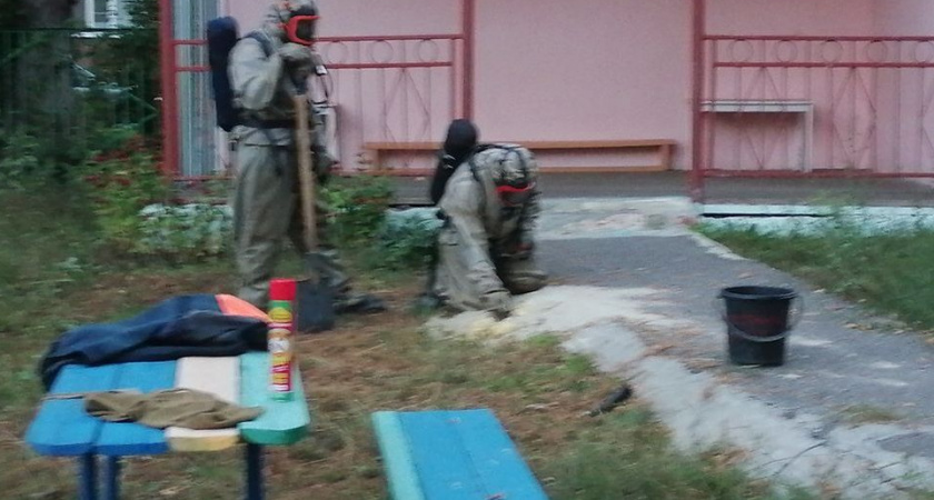 Спасатели ликвидировали осиное гнездо с территории детского сада №99 в Пензе