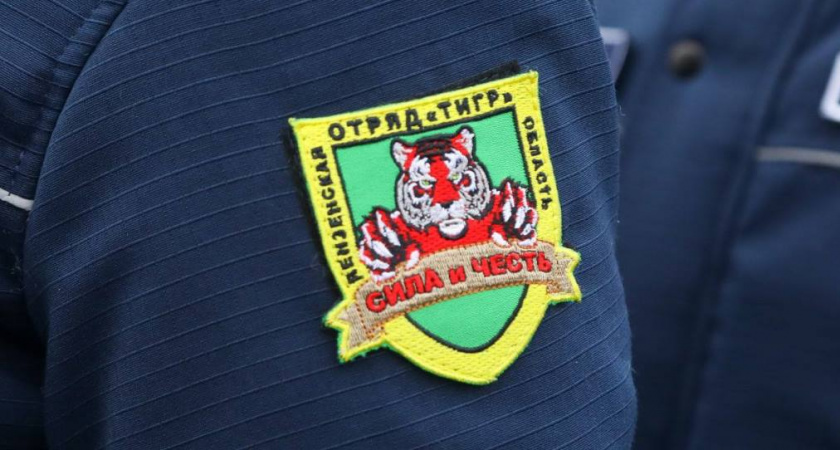 Отряд «Тигр» создадут в Никольском районе 