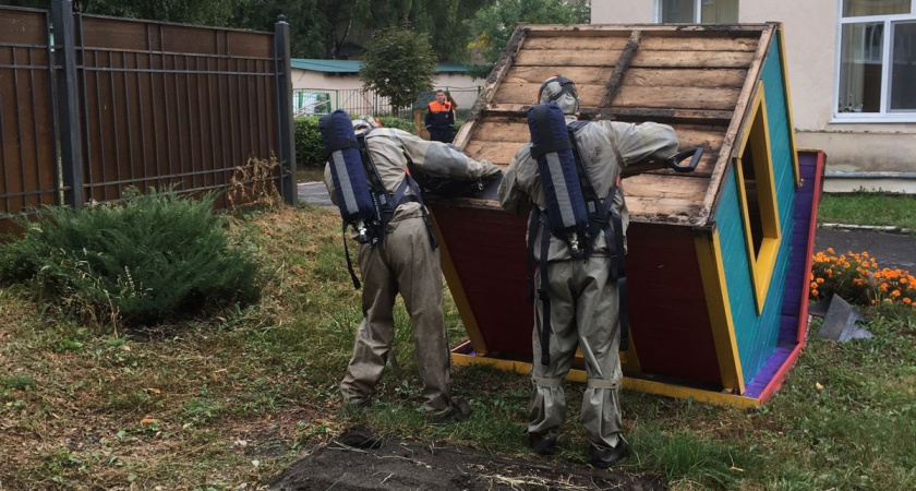 Пензенские спасатели рассказали, как спасали детей от осиного гнезда