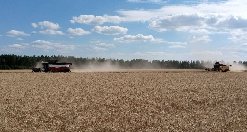 Пенсионеры из Пензы смогут получить надбавку за «сельский» стаж