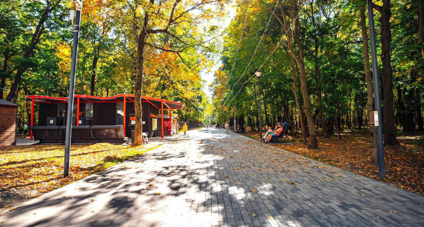 Мельниченко в соцсетях отметил красоты осенней Пензы и позвал горожан гулять 