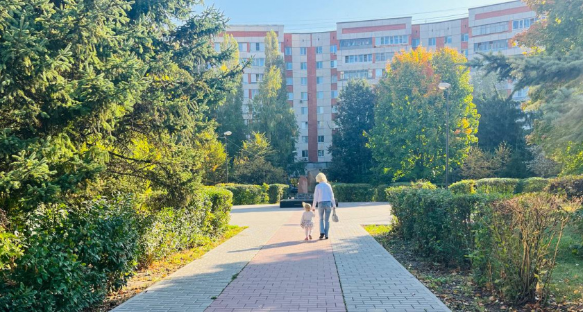 Для работающих пензячек в декрете хотят сохранить пособия по уходу за детьми