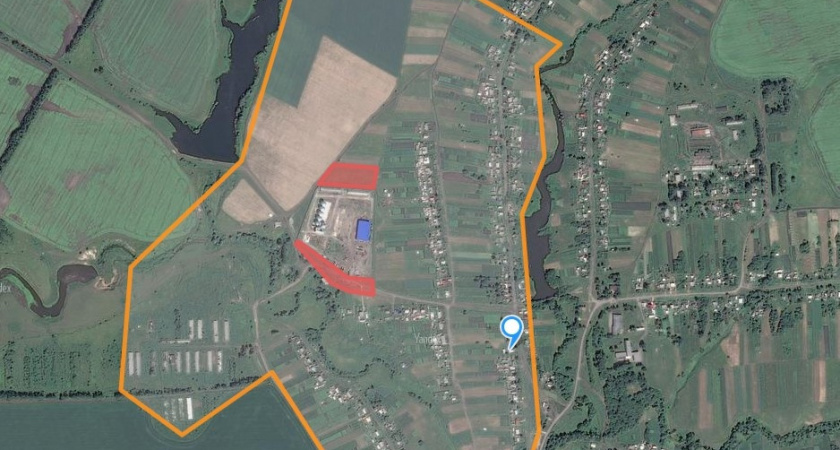 В Земетчинском районе создана карантинная зона из-за распространения повилики