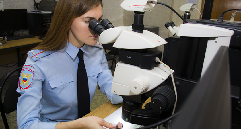 Пензенцу предъявлено обвинение за подделку водительского удостоверения