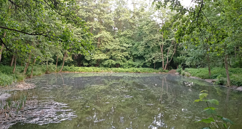 В Пензенской области появился особо охраняемый памятник природы