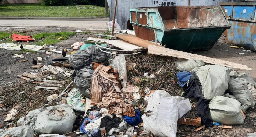 Житель Пензы заплатит 2000 рублей за организацию свалки на Ульяновской