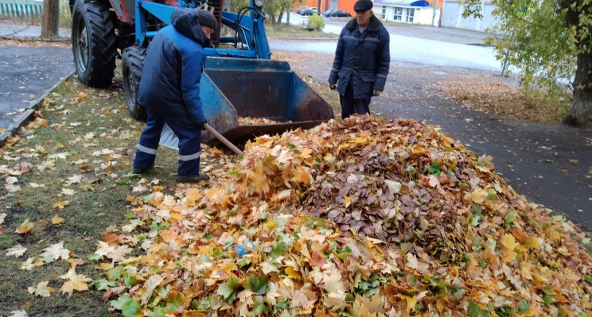 В Кузнецке в рамках месячника по благоустройству территорий пройдет общегородской субботник