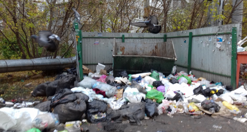 В 2023 году объем ликвидированного мусора увеличился в несколько раз по сравнению с прошлым годом