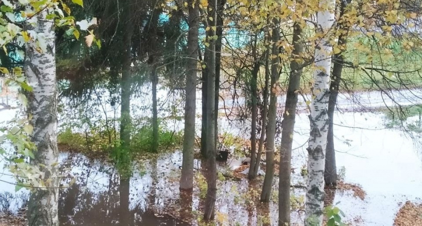 На Бийской в Пензе уже неделю из под земли бьёт "ключ"