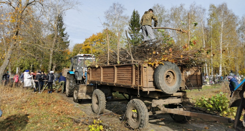 Более 81 тыс. жителей Пензенской области приняли участие в субботнике