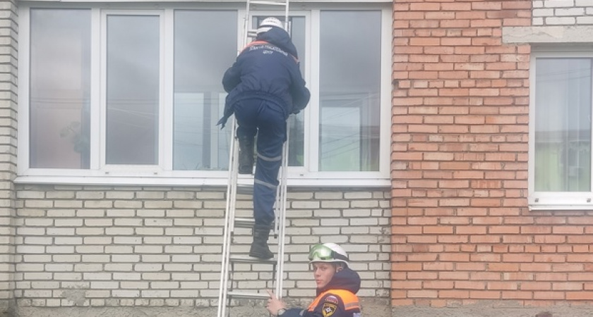 В Пензе спасатели выезжали на помощь бабушке, которую внук 2,5 лет закрыл на балконе