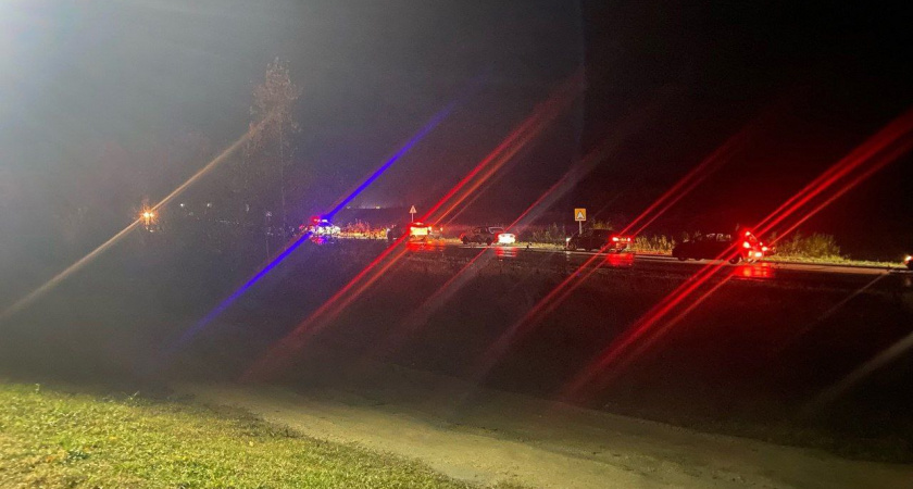 По дороге в Засечное вечером насмерть сбили пешехода 