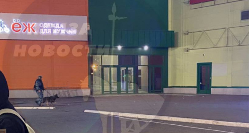 В Пензе к ТЦ Коллаж после закрытия приехали полиция и ОМОН с собаками