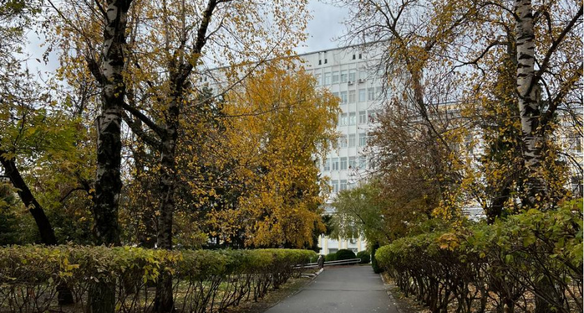 Скидку 50 процентов на высшее образование могут получить пензенцы 