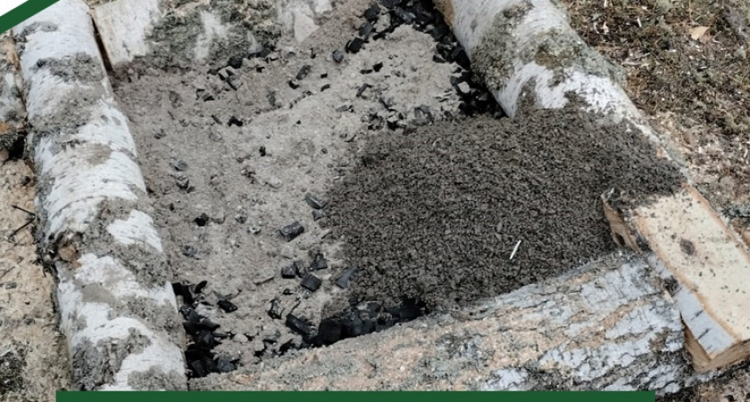 В заказнике "Земетчинский" появился галечник