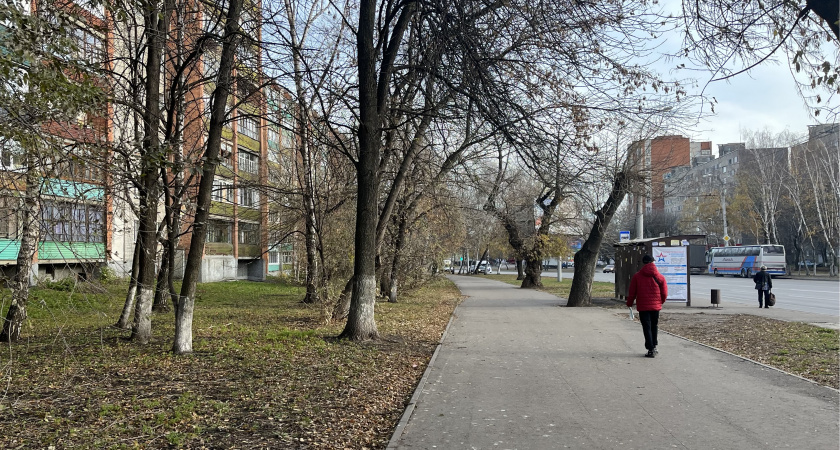 12 ноября в Пензенской области ожидается туман и сильные порывы ветра