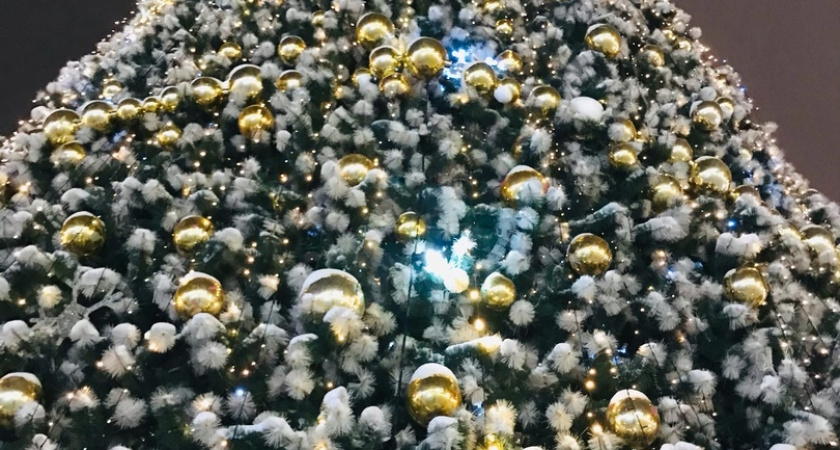 В Заречном Пензенской области определили место для главной новогодней елки