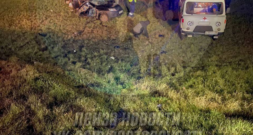 На трассе Пенза-Тамбов в ДТП с «Гранта» и «Газель» погибли парень с девушкой