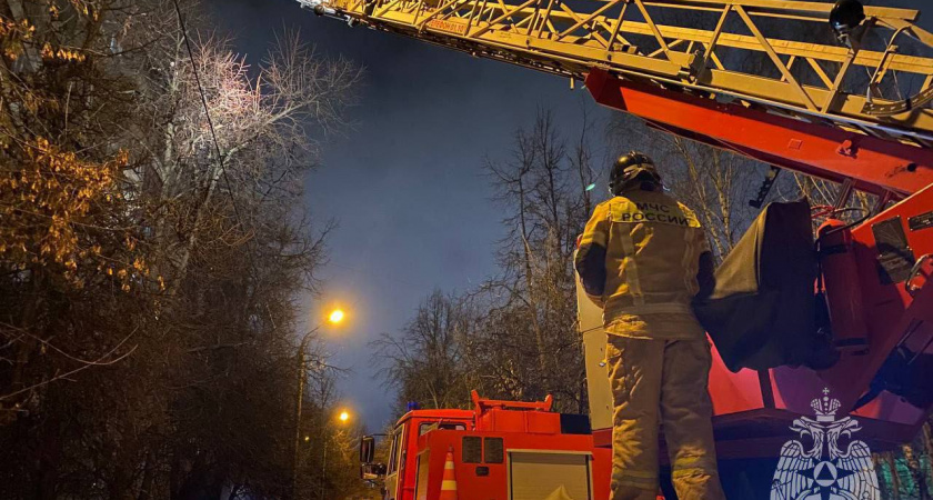 Пожарные МЧС Пензы сняли с дерева двух «спасателей» напуганного и замерзшего кота
