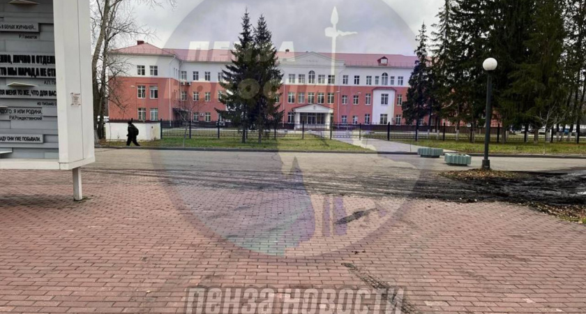 Пензенцы высказали недовольство по поводу состояния дороги у мемориала «Журавли»