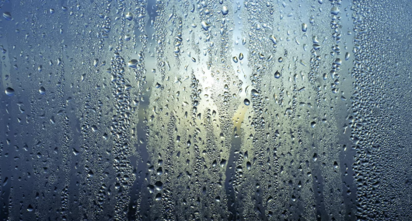 Жильцы дома на ул. Коммунистической в Пензе жалуются на повышенную влажность