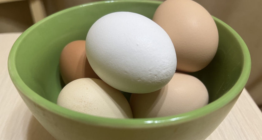 В Пензе цены на яйца упадут 