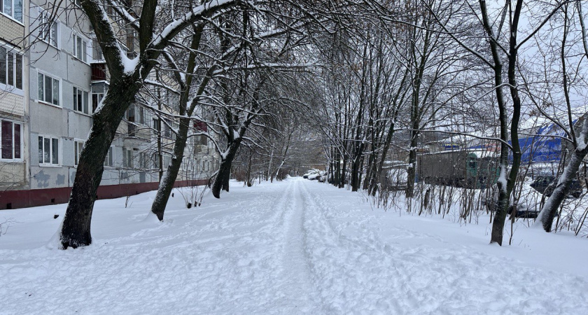 18 декабря в Пензе ожидается желтый уровень погодной опасности