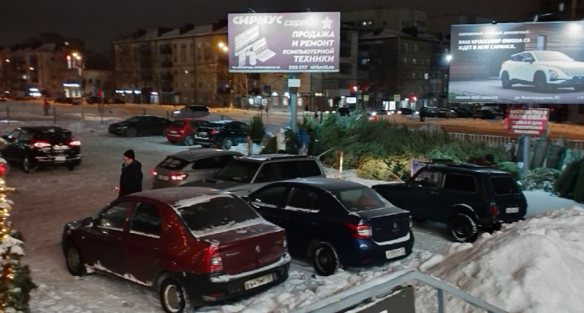 Цены на новогодние елки в Пензе "кусаются": стоимость выросла в полтора-два раза