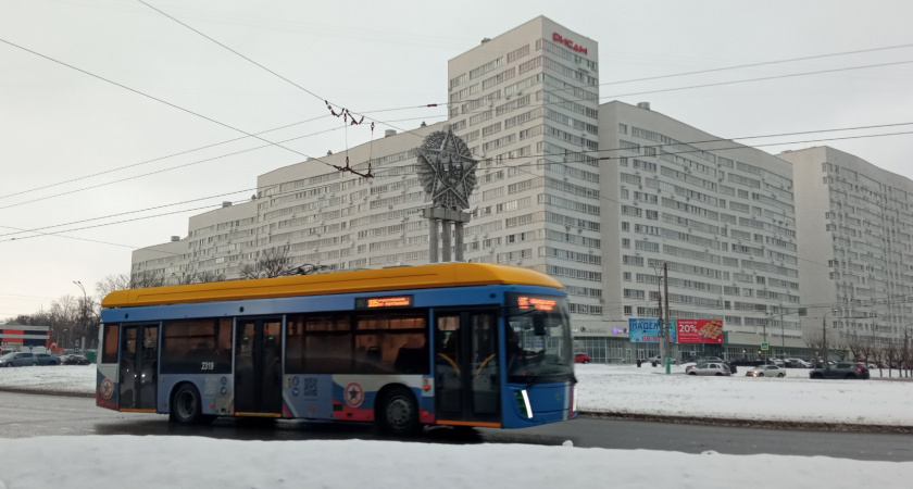 Пензенцам рассказали, где должен сидеть кондуктор в троллейбусах 